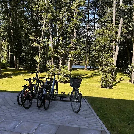 Nemirsetos Provansas *