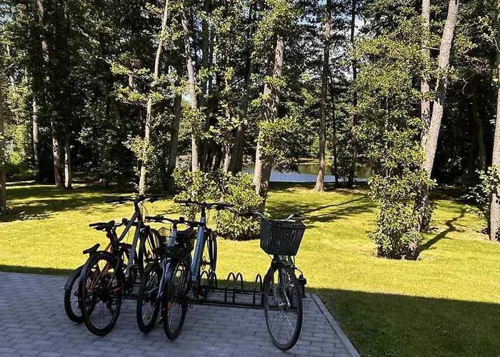 Nemirsetos Provansas *